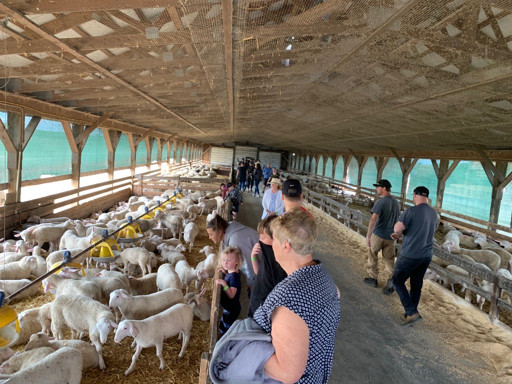 About Farm Tour