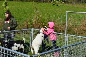 2017 Mulmur & Melancthon Tour