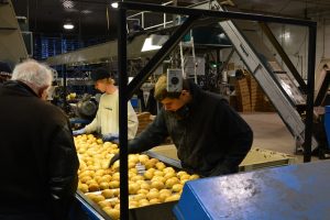 2017 Mulmur & Melancthon Tour