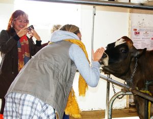 2017 Mulmur & Melancthon Tour