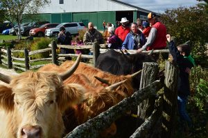 2017 Mulmur & Melancthon Tour