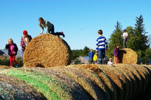 2017 Mulmur & Melancthon Tour