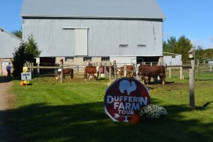 2018 Central Dufferin Tour