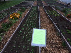2019 Farm Tour Photo