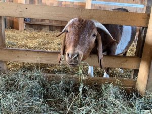 2023 Farm Tour Photo