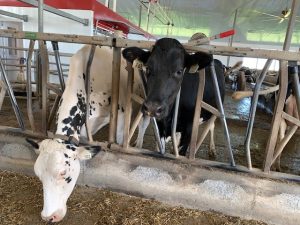 2023 Farm Tour Photo
