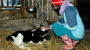 Early Farm Tour Photo