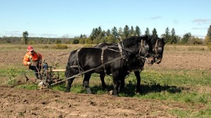 Early Farm Tour Photo