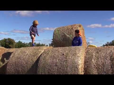 Farm Tour 2017 - Take a look at the fun